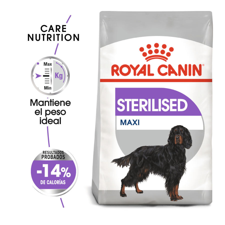 12 kg Royal Canin Maxi Sterilised ra&ccedil;&atilde;o para c&atilde;es, , large Imagem n&uacute;mero 2